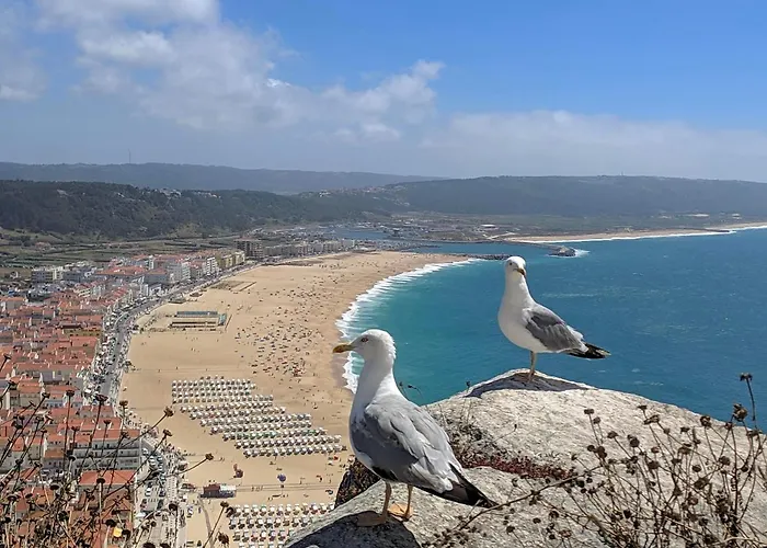 Appartement Blue Boat House - The Atlantic Breeze Nazaré
